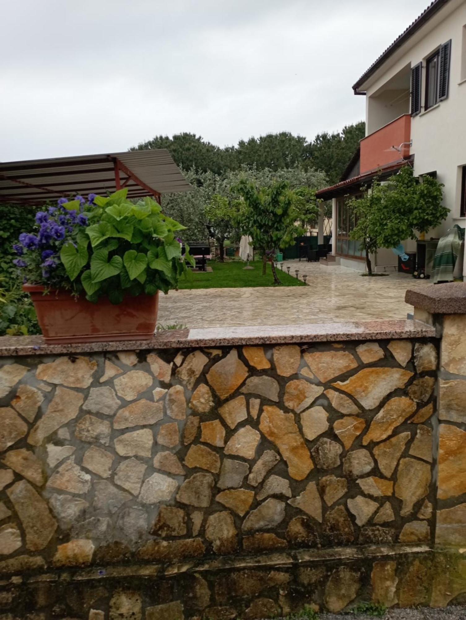 Apartments Grahovac Umag Exterior photo